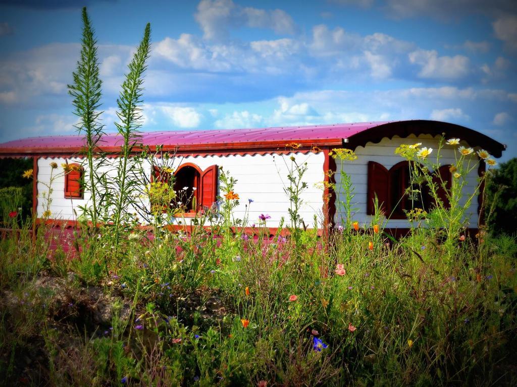 Ushuaia Villages La Buissonniere Lodges 希索 外观 照片